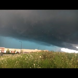 Meet your Posher, Lilly